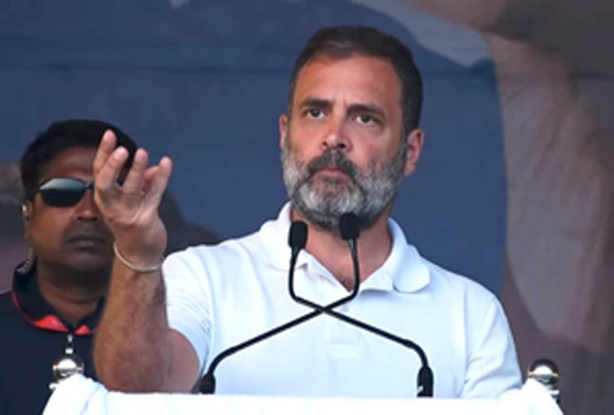 राहुल गांधी के आरोप पर बोली भाजपा, नेहरू-गांधी परिवार की लूट की आपबीती सुना रहे हैं राहुल